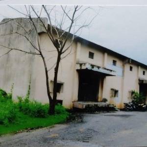 godavuna_500_me.tana_original