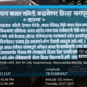 Vegetable_Market_original